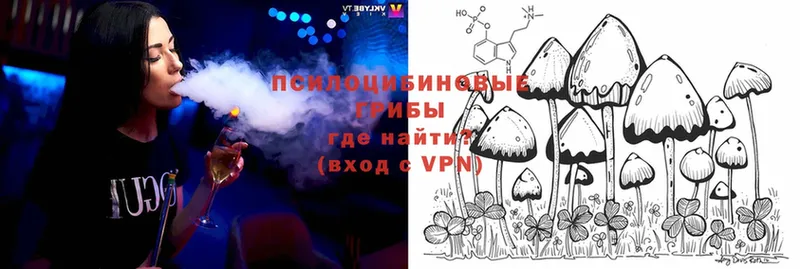 Псилоцибиновые грибы Magic Shrooms  Отрадная 